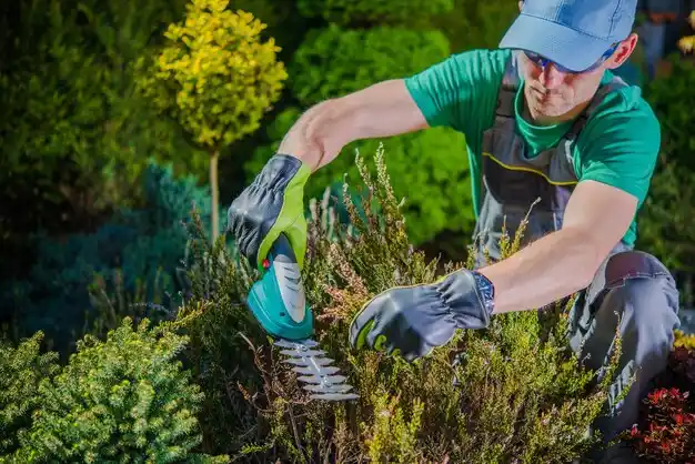 landscaping services Farmingville